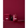 vela aromatica l envie pantone 170g red vanilla 2