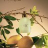 01 sabonete liquido l envie patbo summer pear